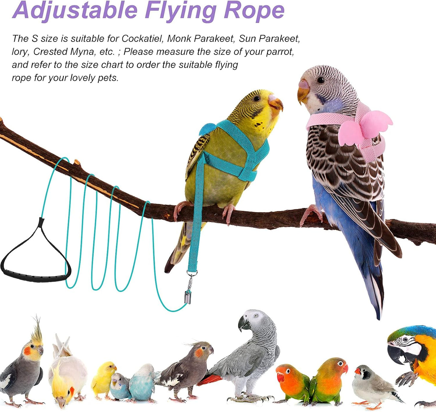 4 Pieces Pet Parrot Bird Harness Leash Adjustable Bird Flying Harness Traction Rope with Cute Wing for Parrots Pigeons Budgerigar Lovebird Outdoor Training Toy (Pink, Yellow, Light Purple, Cyan,S)