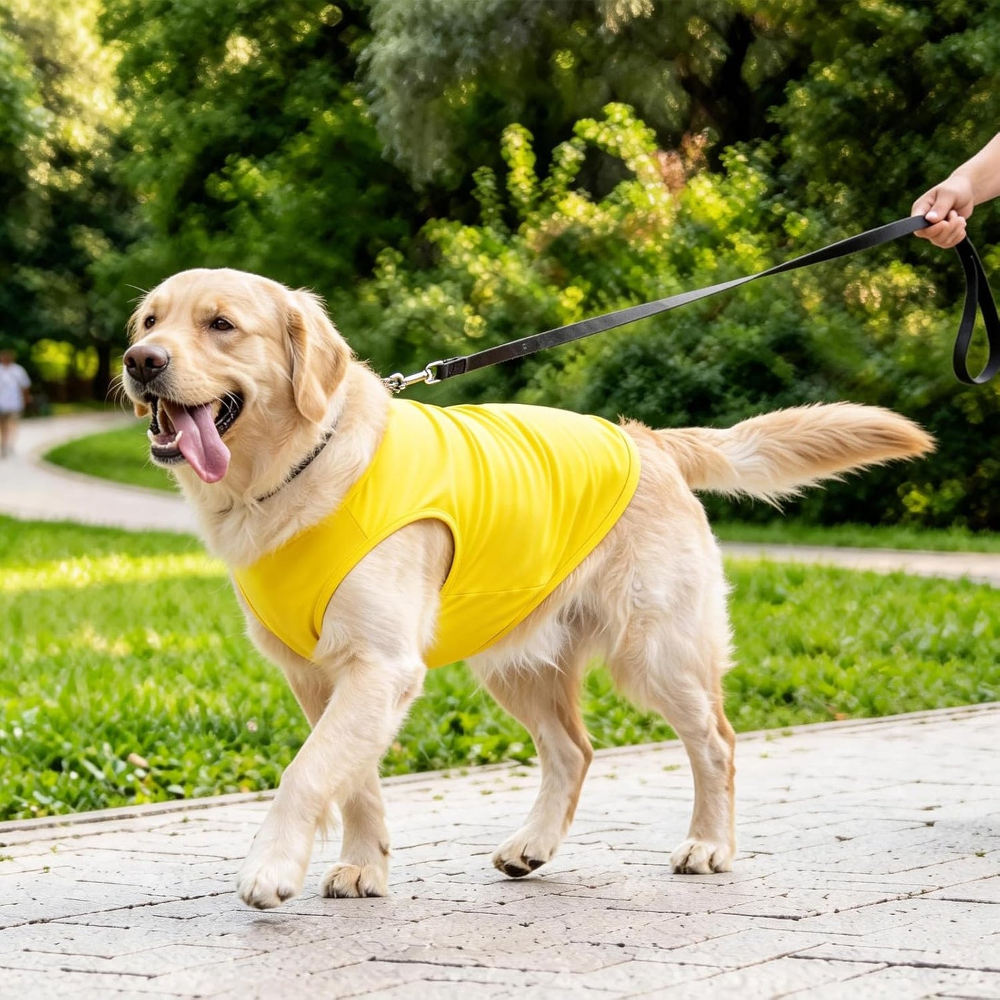 2-Pack Dog Tank Tops for Small Medium Large Dogs Yellow& Green Sleeveless Puppy Vest Shirts Spring Summer Breathable Pet Apparel Colorful Outfits for Boy & Girl Dogs(Yellow& Green) XXL