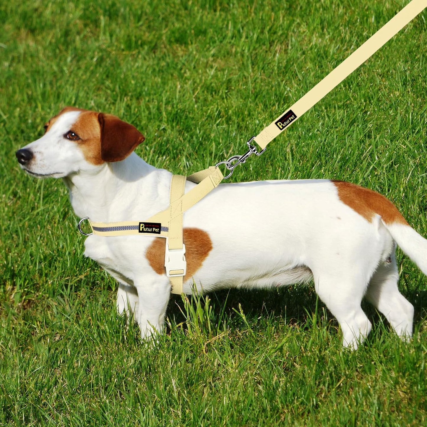 Cotton Dog Harness and Leash Set, Reflective and Soft Padded, Quick Fit Vest Harness, for Small, Medium and Large Dogs, Light Yellow, L