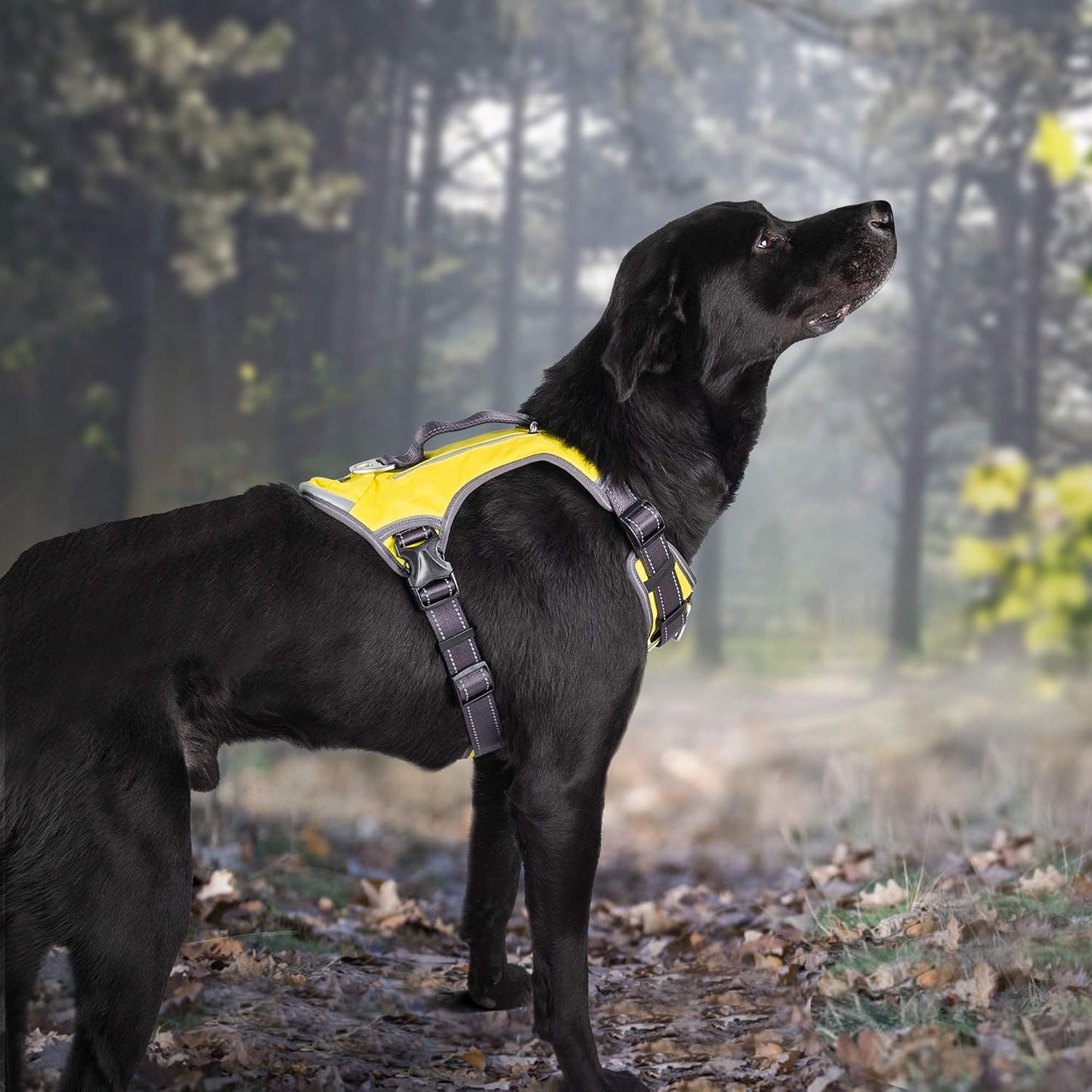 Dog Harness, No-Pull Pet Vest with Saddle Bags Backpack, Yellow | Front and Back Leash Clip, Adjustable Soft Padded, Reflective, No-Choke, Easy Control for Walking, Heavy Duty for Medium Dog