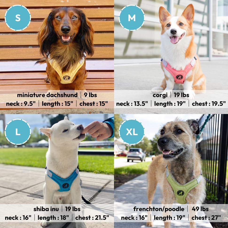 Memory Foam Step-in Dog Harness, Yellow, Medium | Memory foam padding; V-neck reduces choking; Fits tiny breeds (XS); Scratch-resistant; Breathable mesh; 4-point adjustment