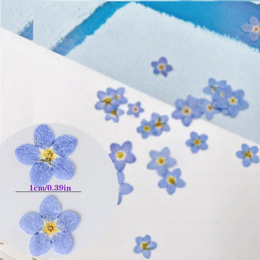 60 Pcs Natural Forget Me Not Dried Flowers Do Not Forget Me Dried Pressed Blooms Flowers for Jewelry Molds Candle Card Making DIY Art Crafts Painting Ornaments Nail Art Decorations Home Decor