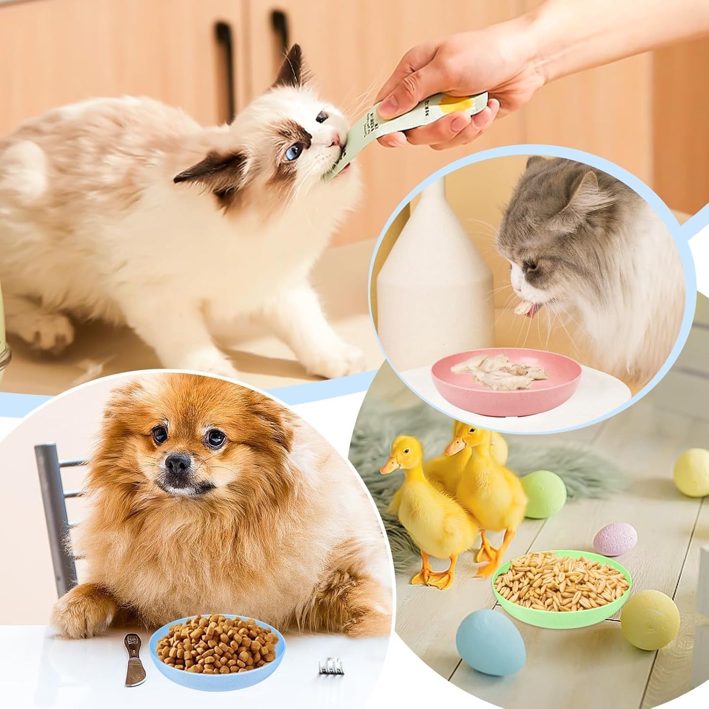 10 Pcs Cat Food Bowl, 5.6 Inch Plastic Shallow Pet Food and Water Dish for Relief Whisker Fatigue, Wide Cat Wet Feeding Bowls, Small Flat Dish for Indoor Outdoor Kittens Dogs | 5.6 Inch Plastic Shallow Pet Food and Water Dish Wide Cat Wet Feeding Bowls,