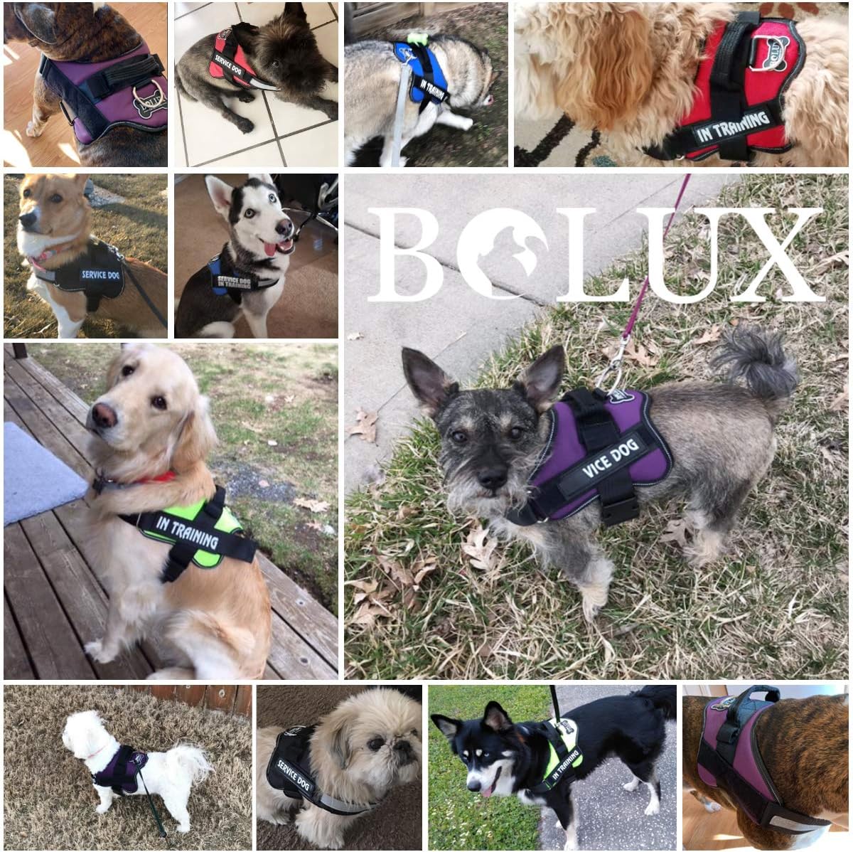 Dog Harness, No-Pull Reflective Dog Vest, Breathable Adjustable Pet Harness with Handle for Outdoor Walking - No More Pulling, Tugging or Choking (Army Yellow, S)