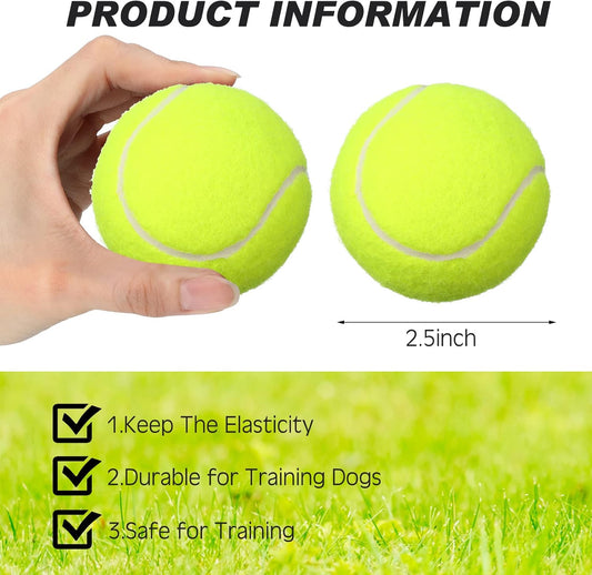 48 Pcs Standard Pressure Tennis Balls Bulk, Training Tennis Balls Practice for Player Beginner Training Sports Ball, 2.5 Inch
