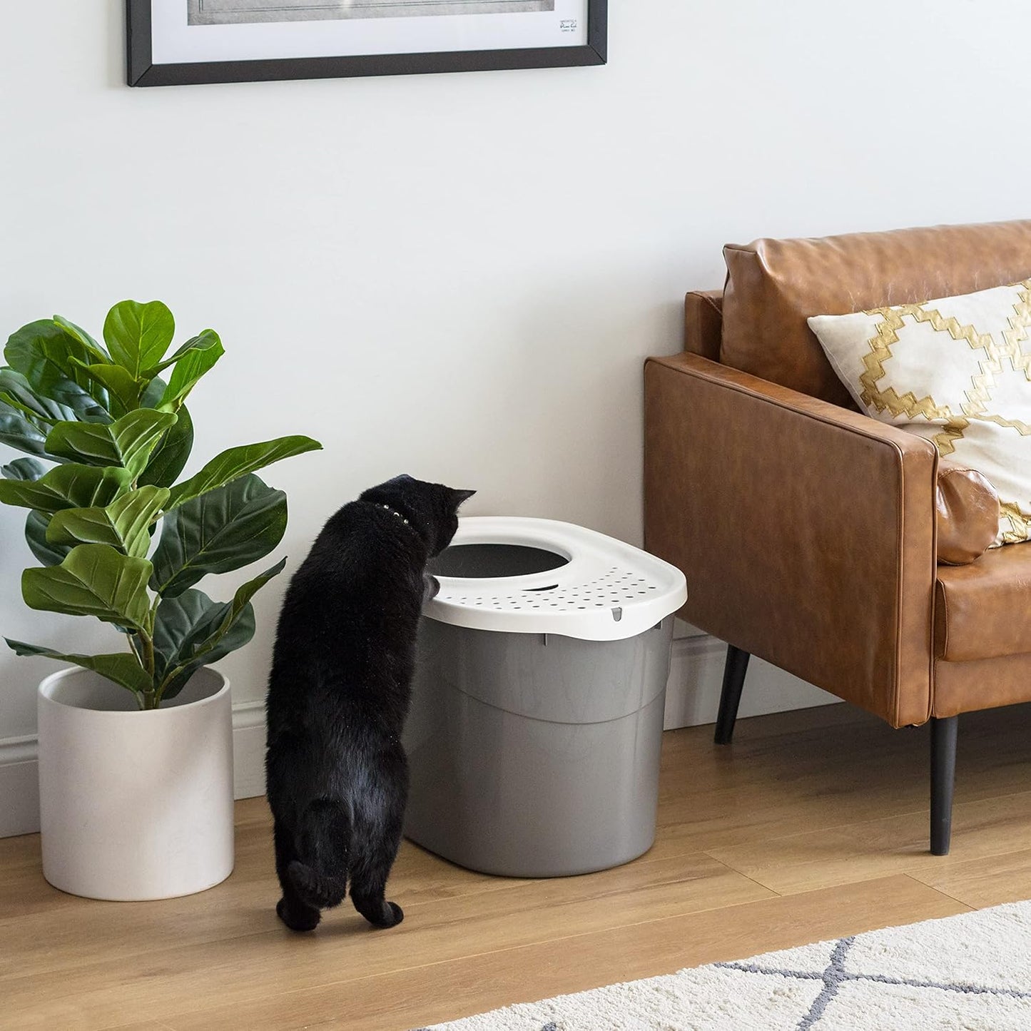 Large Top Entry Cat Litter Box, Hooded Privacy, Gray/White | Multi-Cat Households, Dog Proof Pan, Protected Interior, Enclosed Top Access, Reduced Tracking, Odor Trapping