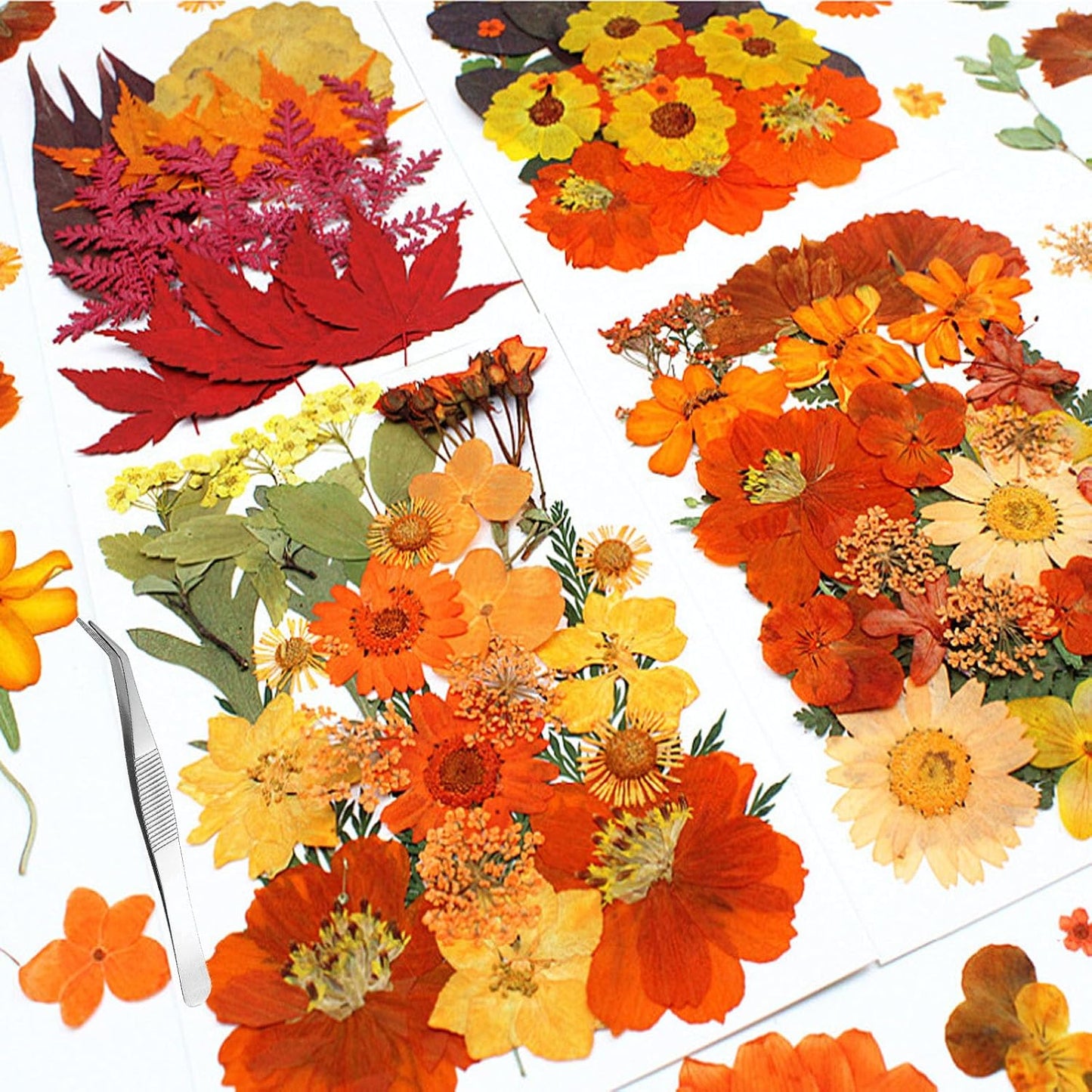 Fall Dried Pressed Flowers for Crafts, 103 PCS Real Dried Pressed Flowers Leaves Kit Autumn Pressed Dry Flower with Tweezers for Resin Molds DIY Scrapbooking Candle Jewelry Making (Orange, Yellow)