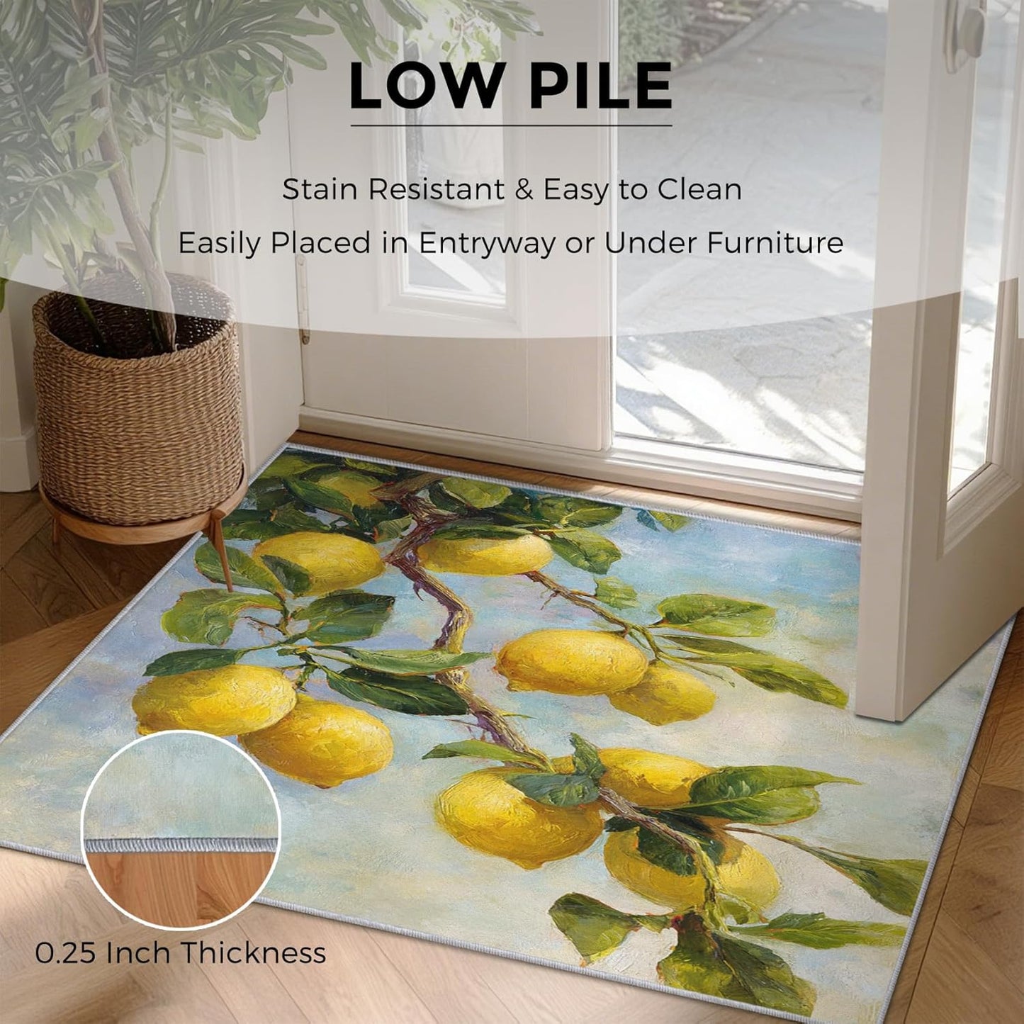 3x5 Lemon Rugs for Bedroom Decor, Washable Oil Painting Fruit Pattern Area Rug, Living Room Home Decoration, Non Slip Soft Thin, Fresh Plant Decor Carpet PF-P 20