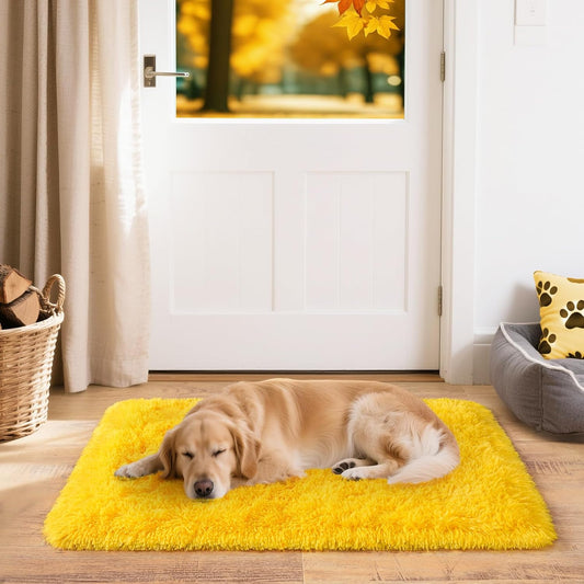 2x3 Small Rugs for Bedroom, Soft Fluffy Shaggy Bedside Area Rugs for Living Room, Indoor Floor Carpet for Kids Girls and Boys, Nursery Rooms, Home Decor Aesthetic, Yellow