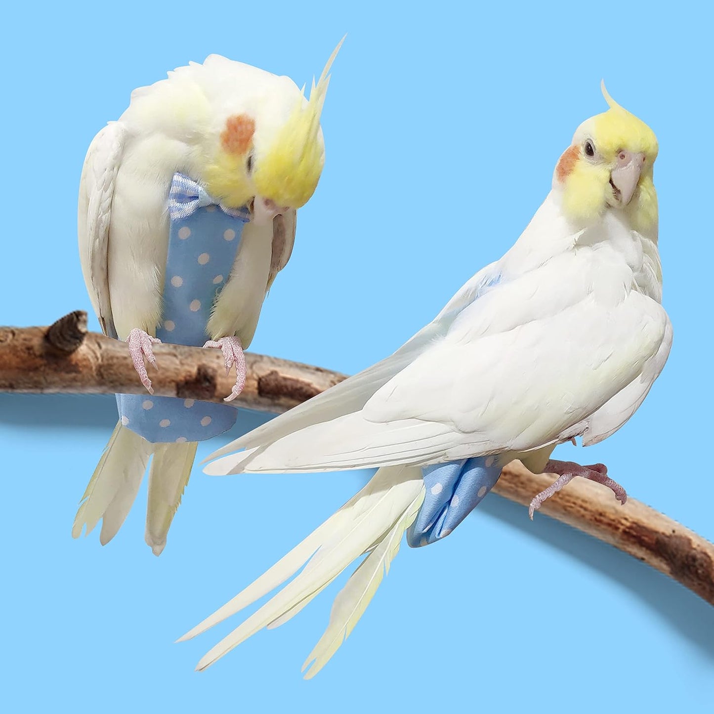 Bird Diaper Flight Suit with 80-inch Leash Rope, M Size, Yellow | Includes Flight Suit, 80-inch Elastic Leash and 1 Cotton Pad. For Bird Parrot Cockatiel, Conure and Similar Parrot (80-105 g)