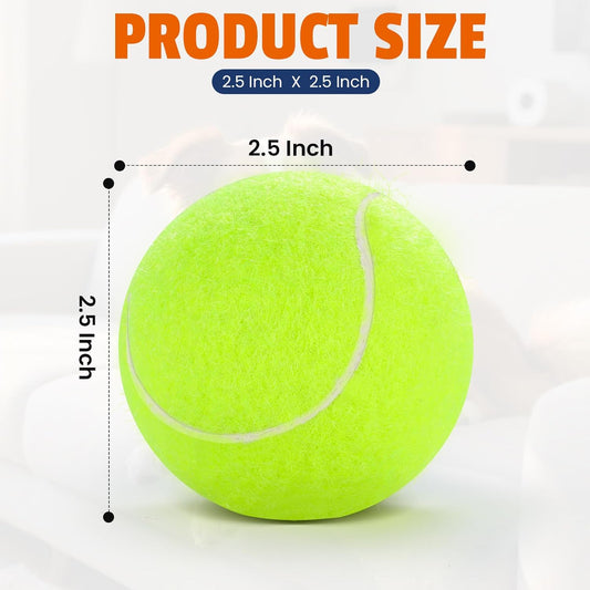 Tennis Balls for Dogs 16 Pack,2.5 inches,Durable and Non-Toxic Dog Toys Balls with Mesh Bag,Yellow Fetch Toys Balls for pet Dog (Non Squeaky)