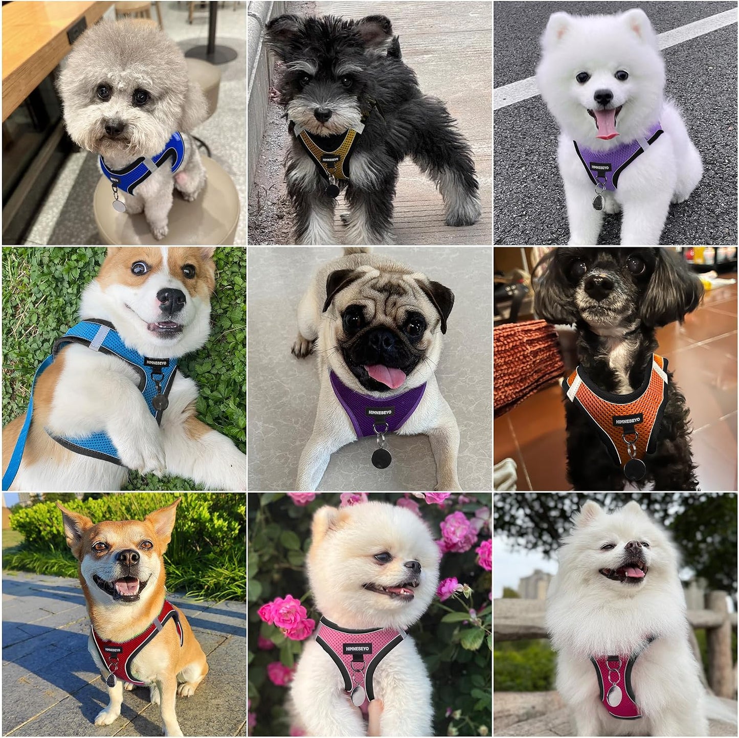 Dog Harness and Leash Set, Dog Harness for Dogs No Pull, No-Chock Step-in Reflective Breathable Lightweight Easy Walk Vest Harnesses with Safety Buckle for Small Medium Dogs, Cats (Yellow, M)