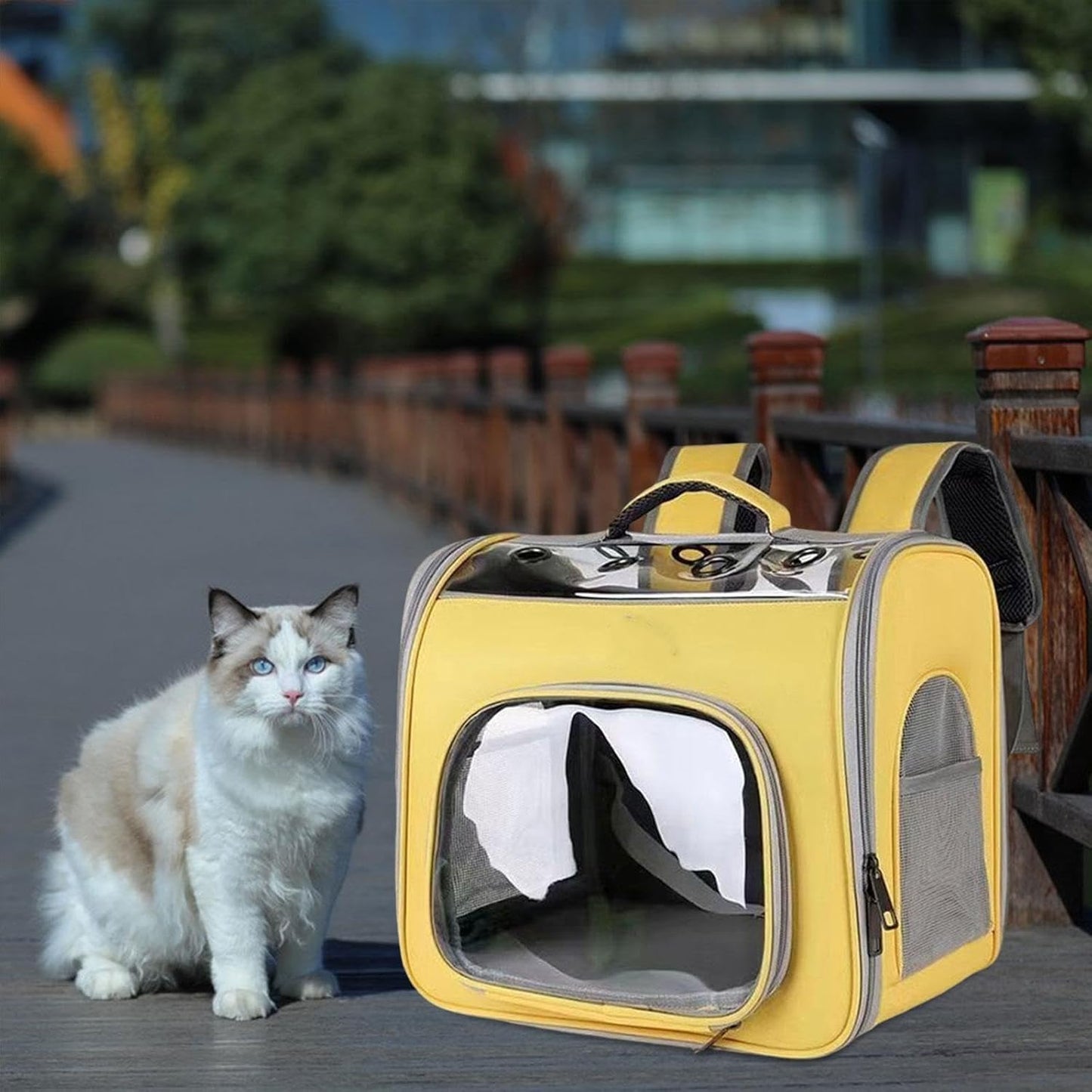 Pet Travel Backpack Pet Carrying Bag Lightweight Convenient Small Dog Carrier Cat Travel Bag for Hiking Camping Outdoor, Yellow