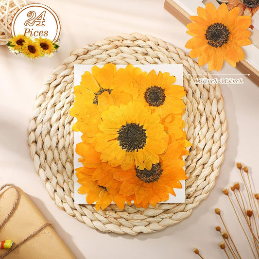 24 Pcs Dried Pressed Flowers for Resin Real Natural Sunflower Petals for Jewelry Candle Soap Making DIY Art Craft Scrapbooking Supplies(Yellow)