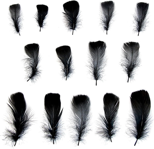 Lamar 300 Pcs Yellow Craft Feathers 2-3 in | Bulk feathers for dream catchers, art projects, DIY crafts, handi crafts, and party decor