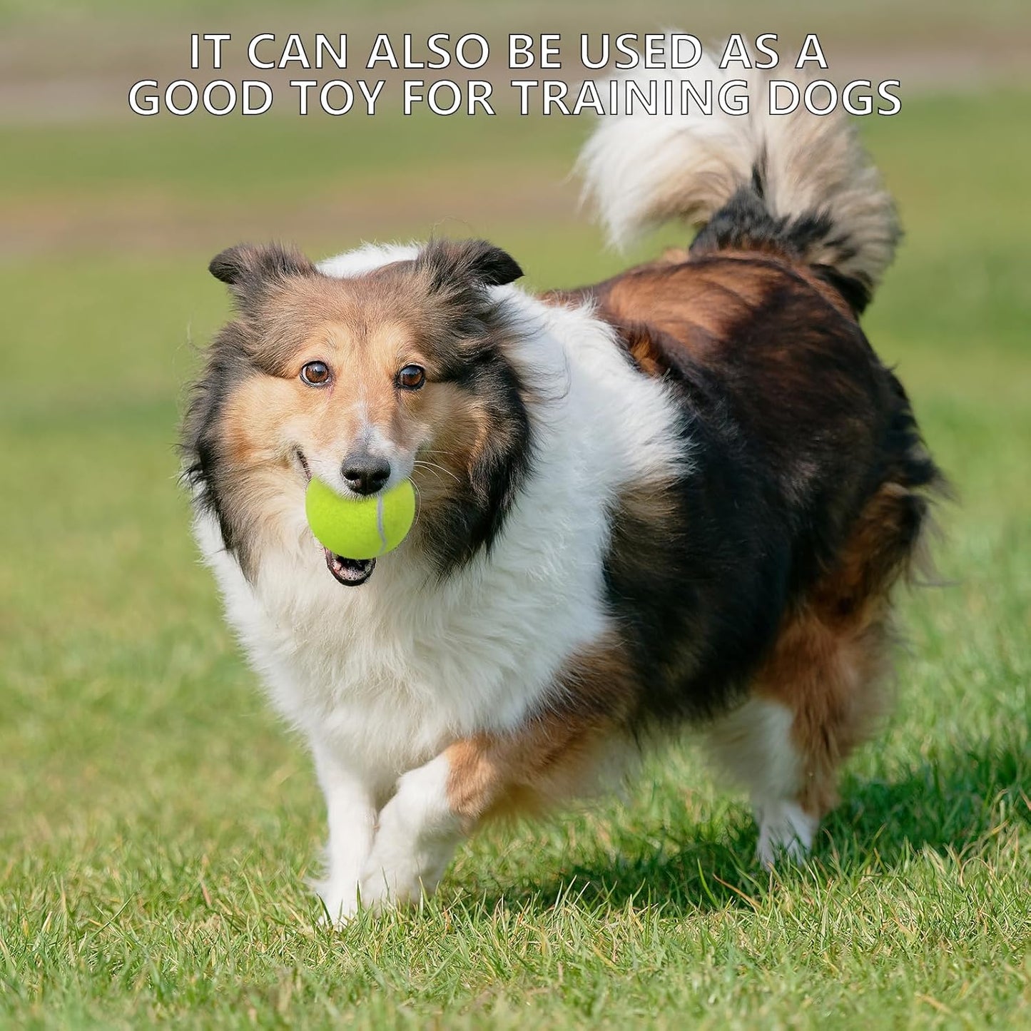 SHYUJAJIE Tennis Ball,20 Pack Practice Balls Bulk,Dog Balls with Mesh Bag | Colorful Heavy Duty Tennis Training Ball for Beginners, Exercise Playing Balls for Pet Dog