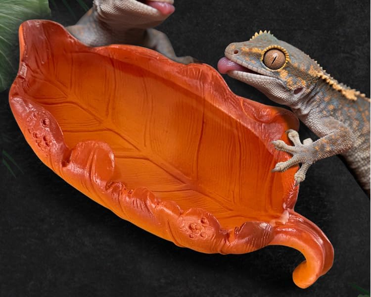 Reptile Feeding Dish Bowl,Leaf Food/Water Dish for Amphibians Tank,Reptiles and Other Little Critters Water Bowl,Premium Resin Reptile Terrarium Bowls for Lizard,Hermit Crab,Gecko,Tortoise(small size)