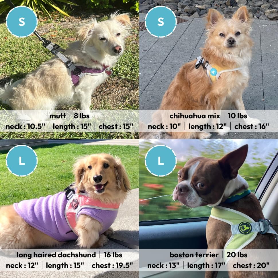 Simple Step-in III Dog Harness, Yellow, Small | Slide-to-fit chest strap; Breathable inner mesh; Scratch-resistant outer; Quick-release buckle; Durable POM leash ring