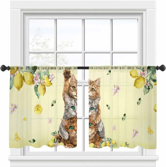 Lemons Cats Sheer Window Chiffon Curtains 54 Inches Long, Summer Rustic Botanical Fruits Yellow Windows Voile Curtain for Living Room, Elegant Light Filtering Window Drapes, 52"W x 54"L, 2 Panels