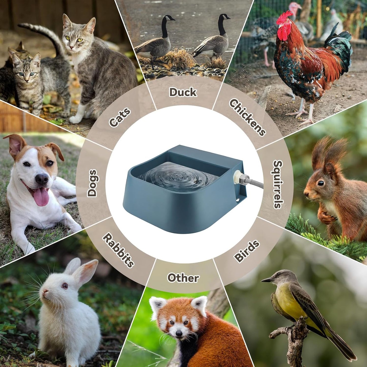 Dog Water Bowl Dispenser, Automatic Water Dispenser for Dogs with 3/4'' Hose, Auto-Fill Cat Water Fountain, Pet Water Dish for Outside Animals, Chickens Rabbits, 2L