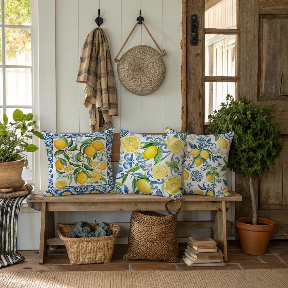 Pack of 4, Decorative Lemon Print Throw Pillow Cover, 18x18 inch, 100% Polyester, Hidden Zipper, Mediterranean Blue Border