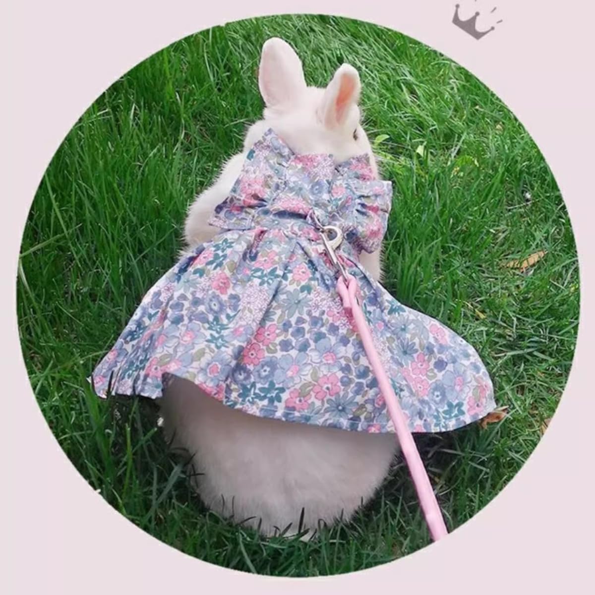Rabbit Leash and Harness Set Adjustable Bunny Rabbit Dress Rabbits Clothes Outfit for Small Pet Ferret Guinea Pig Kitten Puppy (Yellow,L)
