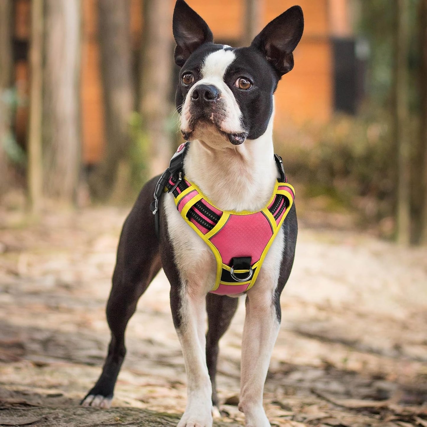 Dog Harness Small Sized, No Pull 3 Buckles Easy On & Off | Soft Padded, Walking with Control Handle, Adjustable and Reflective, Pink & Yellow, Small