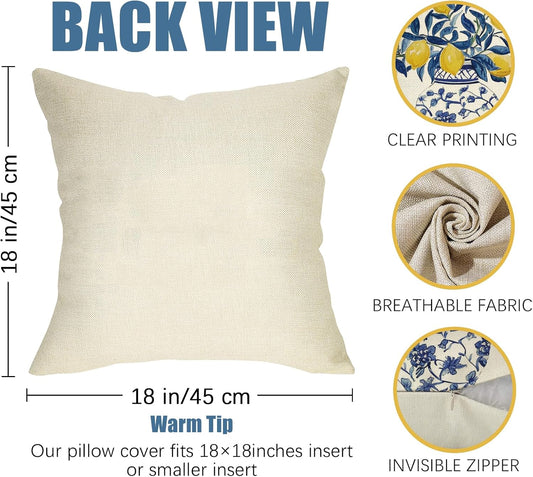 Fahrendom Lemon Decorative Throw Pillow Covers 18 x 18 Set of 2, Blue and White Porcelain Citrus Porch Pillowcase, Summer Mediterranean Sofa Couch Cushion Case Home Decor