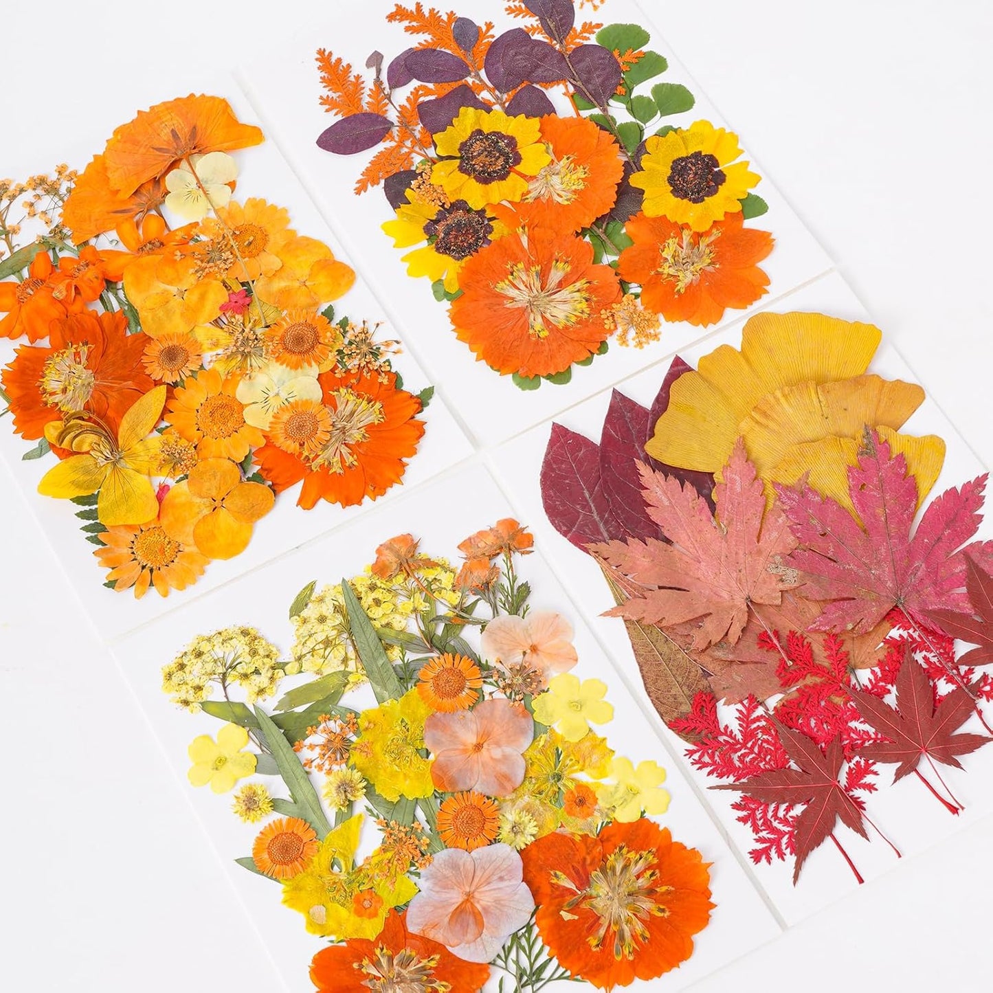 100 Pcs Fall Dried Pressed Flowers for Resin, Autumn Dried Flowers Leaves for DIY Crafts Thanksgiving Scrapbooking Jewelry Molds Soap Candle Making and Nail Decor (Orange)