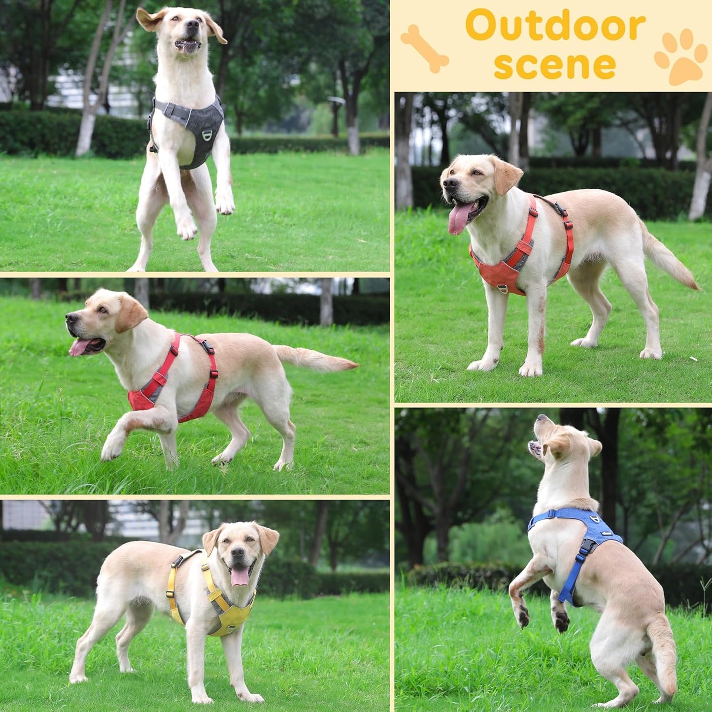 Dog Harness, Easy Walk Pet Harness No Pull with 2 Leash Clips, Reflective Running Soft Padded Adjustable Puppy Vest, Heavy Duty Seatbelt Harness for Car for Small Dogs (Yellow, XL)