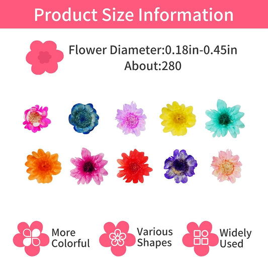 300 Pcs Mini Dried Flowers for Resin,Pressed Natural Flowers for Crafts | Small Dried Flowers for Crafts for DIY Jewelry Making, Candle Soap Making,Nail Art,Epoxy Resin Accessories