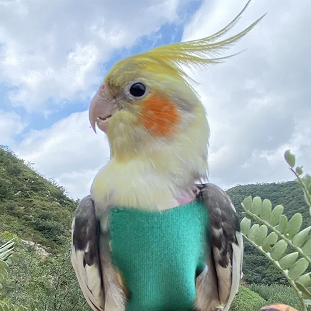 Pet Bird Diaper Harness Adjustable Parrot Harness and Leash Set Cockatiel Flight Suit with 60 Inch Leash Bow Tie Bird Flying Clothes for Conures Cockatoos Cockatiel Pigeon(Yellow, Large)