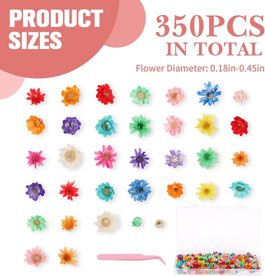 350pcs Mini Dried Flowers for Crafts Resin,Mixed Sizes Small Dried Flowers with Tweezers for DIY Craft Resin Art Jewelry Soap Candle Making
