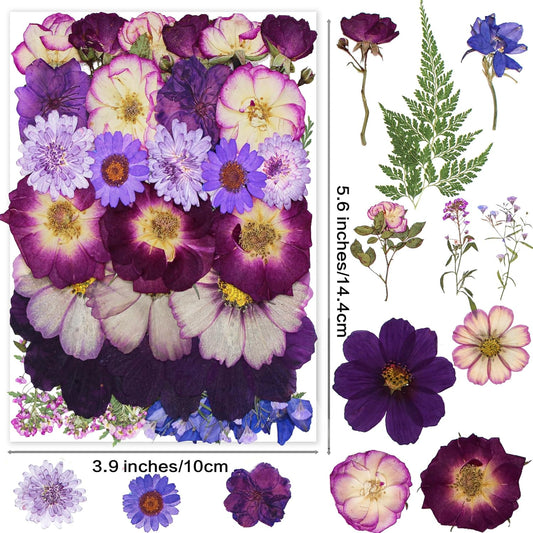 OECCO Large Purple Dried Pressed Flower for Resin, Big Real Nature Pressing Floral Leaves for DIY Craft, Mold, Jewelry Making, Candle Scrapbooking Supplies