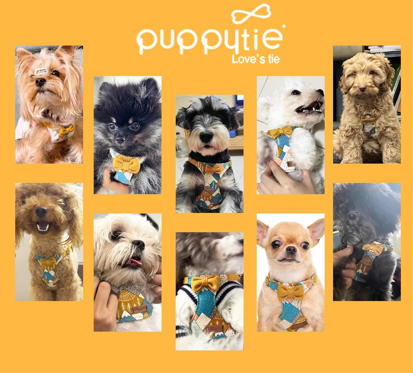 Dog Harness and Leash Set, Suede Bow Yellow, M (16.5-31 lbs) | Harness Small Size Dog, Soft and Lightweight, Multifunction Dog Leash, Dog Harness Medium Sized Dog
