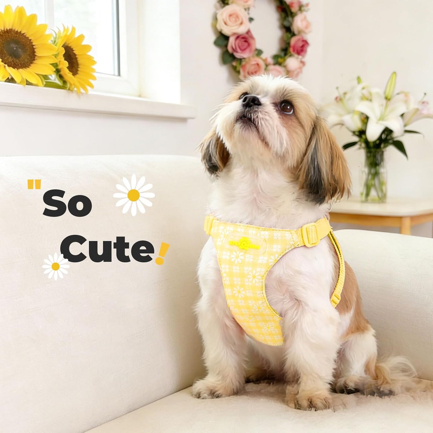 Cute Small Dog Harness and Leash Set Yellow Floral Daisy Puppy Harness Vest Adjustable Step in Spring Summer Soft Mesh Flower Girl Dog Harnesses for Chihuahua Yorkie Pomeranian Shih Tzu, M