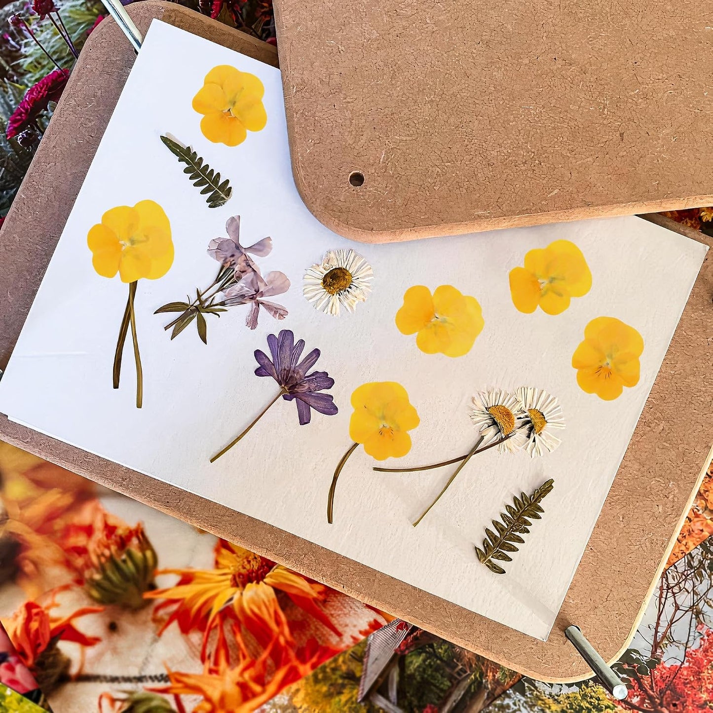 50Pcs Pressed Pansy Violet Flowers Real Dried for Resin Molds, Mixed Dry Flowers for Jewelry Candles Making, Scrapbooking Crafts, DIY Soap, Wedding Decoration Nails Decor (Yellow)