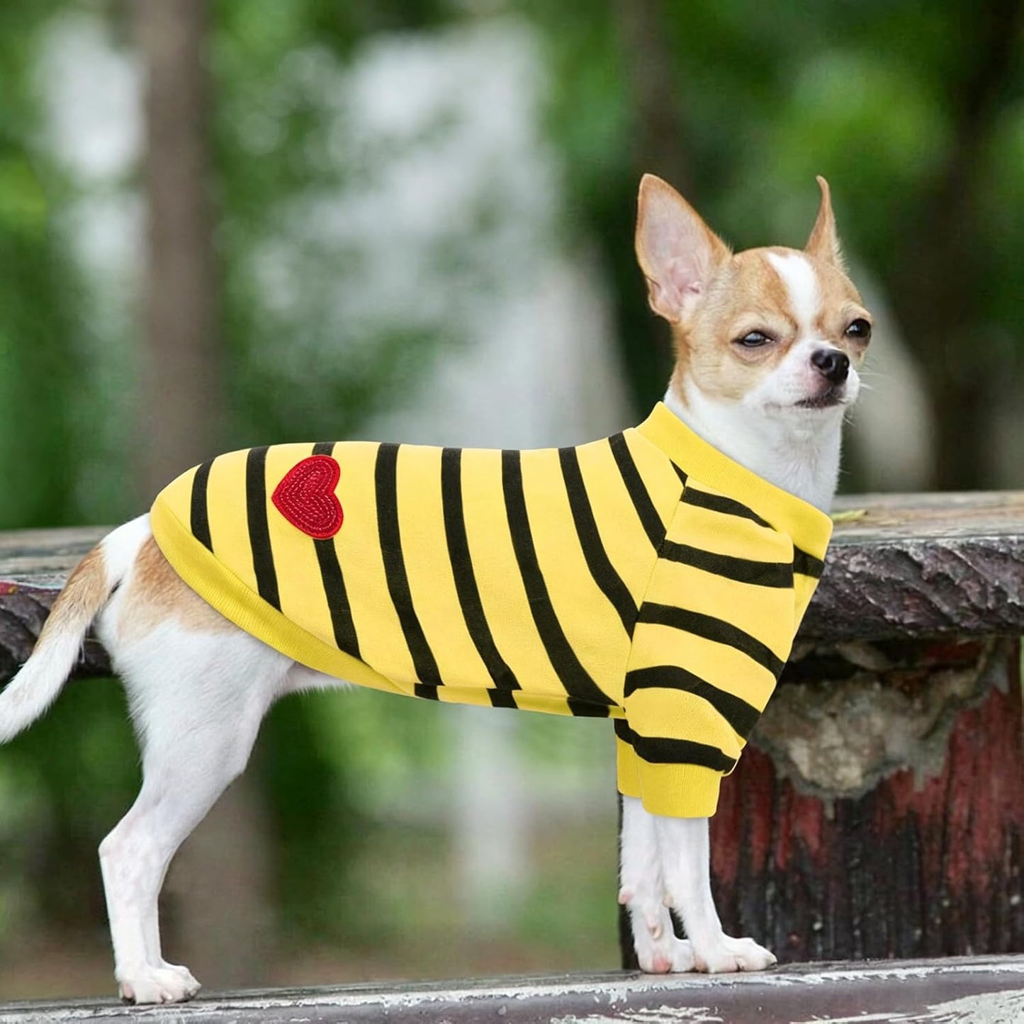 Dog Shirts for Small Dogs, Pet Striped T-Shirts, Dog Tee Shirts for Summer | Dog Shirt Vest for Small Breeds Like Chihuahuas, Yorkies, and Small French Bulldog, Year-Round Style with Tank-Style