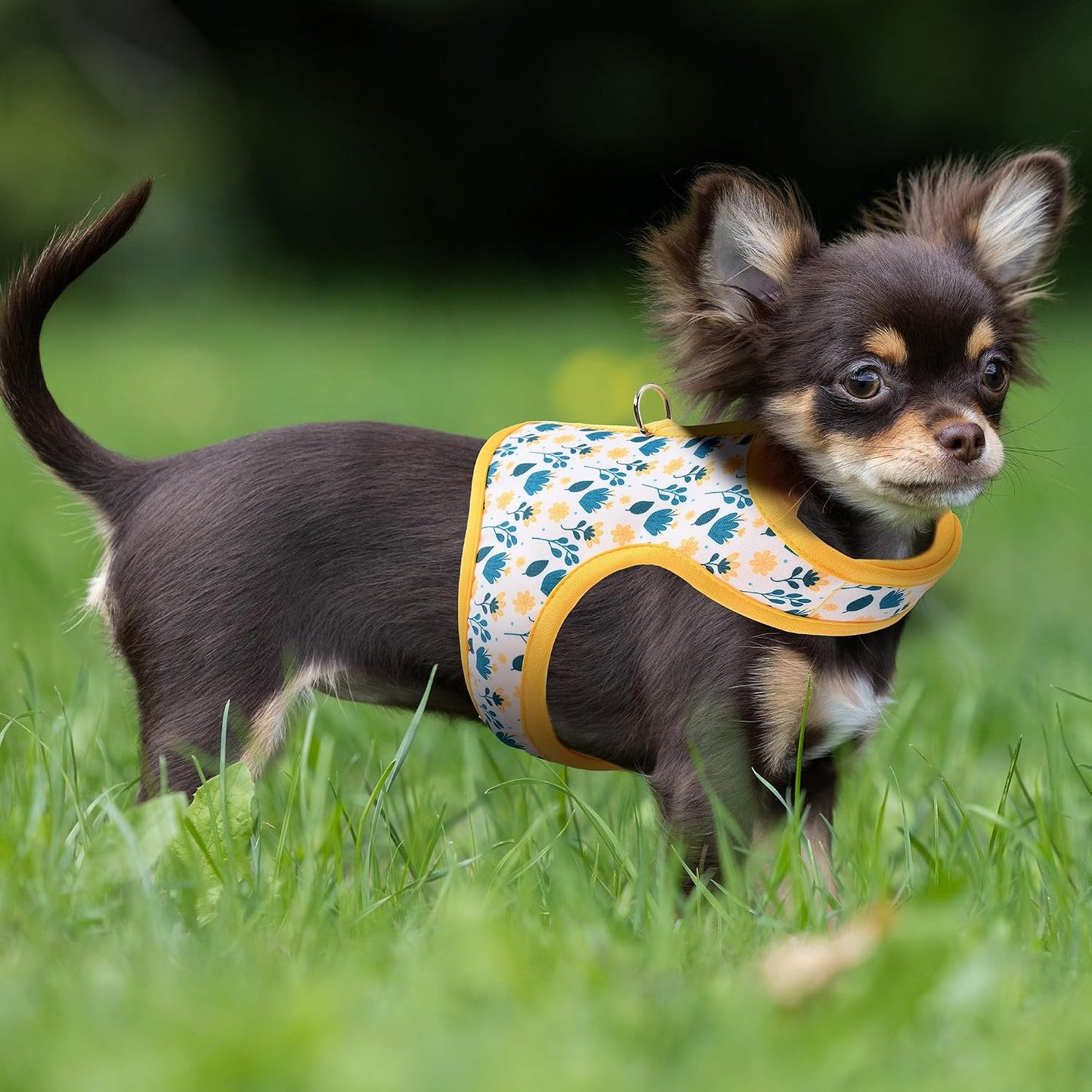 Dog Harness, Air Mesh Floral Vest Harness for 20 lbs Small Dogs & Cats, Easy Get on Adjustable Easy Closures Both Neck and Chest(Yellow Flower, XS Chest 14"-16")