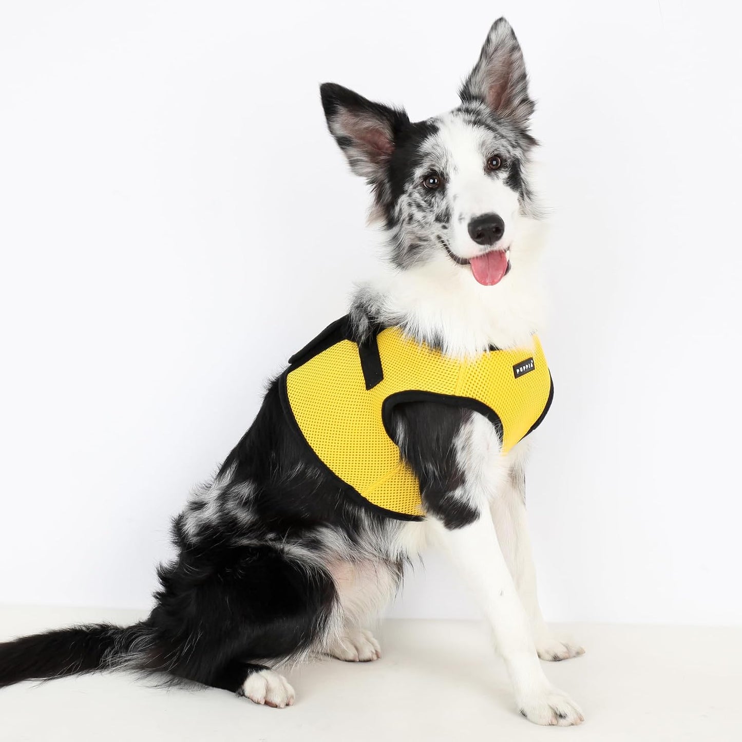 International Harness Soft B Vest, Medium, Yellow