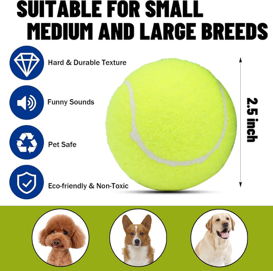 Dog Tennis Balls, 20 Pack 2.5 inch Floatable Squeaky Tennis Balls for Fetch Exercise, Natural Rubber Squeaky Dog Balls Training Safe (Yellow)