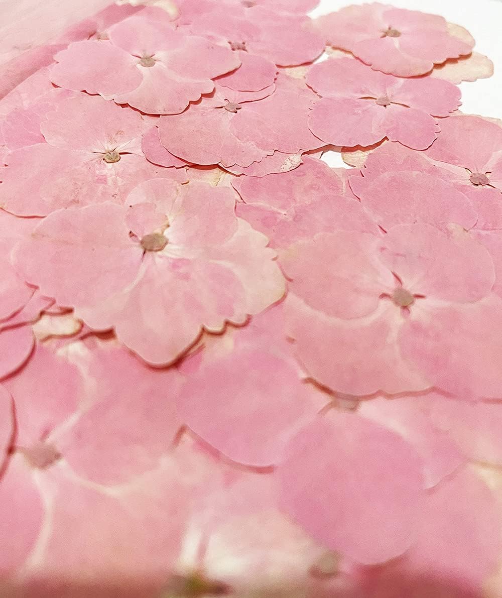 24 pcs Pink Hydrangea Real Natural Dried Pressed Flowers for Resin Art Craft DIY