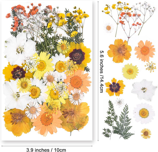 Dried Pressed Flowers for Resin Molds,Real Natural Pressed Flowers for DIY Art Crafts,Candle Making, Nails DΓ©cor,Soap Making, Phone Case Yellow White