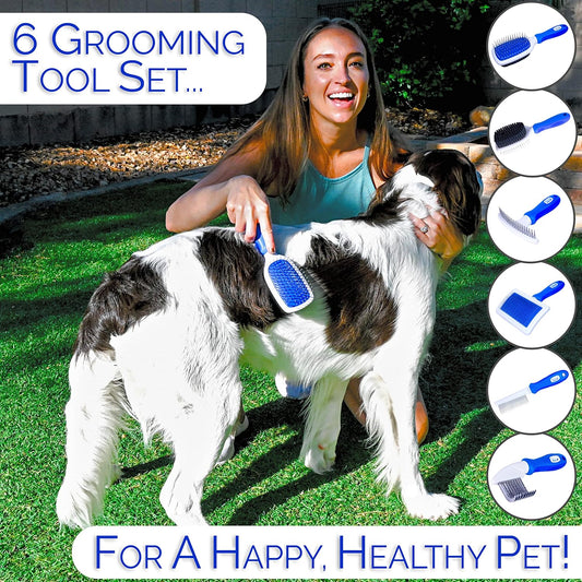 6 In 1 Premium Dog Brush Set - Dog Grooming Brushes - Ball Pin & Bristle Brush, Curved Blade Dematting Comb, Slicker Brush, Deshedding Edge Comb, Detangling Pet Comb