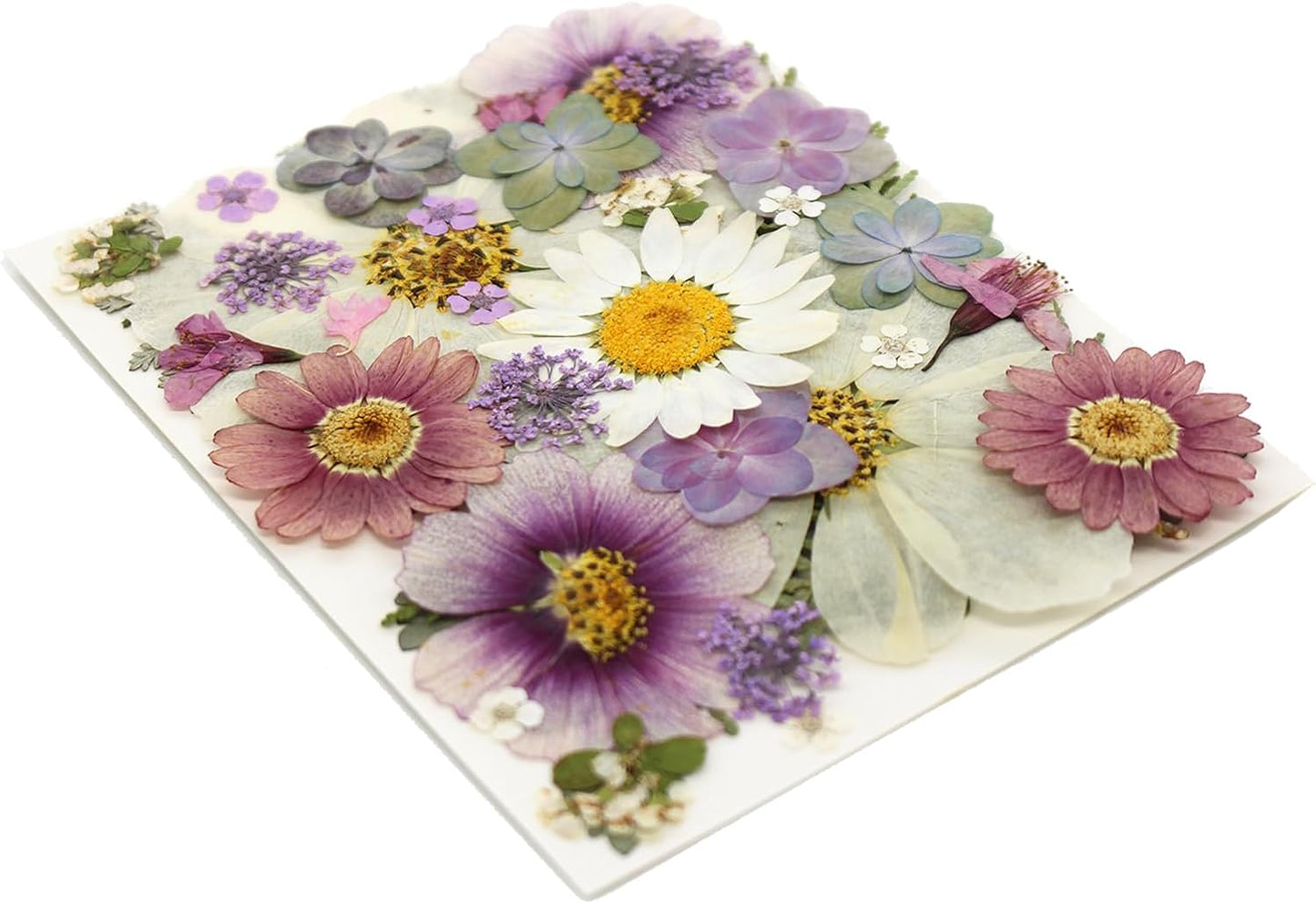 40PCS Real Nature Dried Pressed Flowers for Resin Mold, Dry Pressing Floral with Butterfly Transparent Stickers Set for DIY Jewelry Card Scrapbook Art Craft Decors