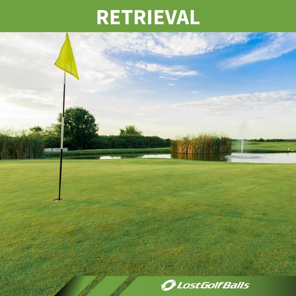 LostGolfBalls - 12 Yellow Tour Speed Golf Balls in Pristine Condition, 2023 Year Model, Like New Quality, No Logos, No Player Markings, Recycled Used Golf Balls, Yellow