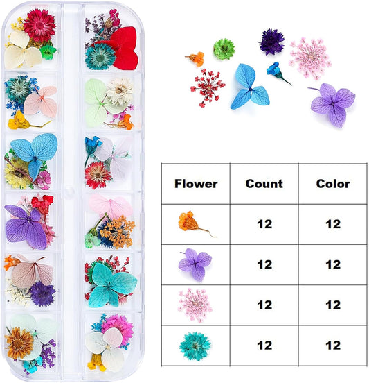 Dried Flowers for Nail Art Resin Jewelry Crafts - Natural Small Mini Tiny Pressed Real Dry Flower Sets