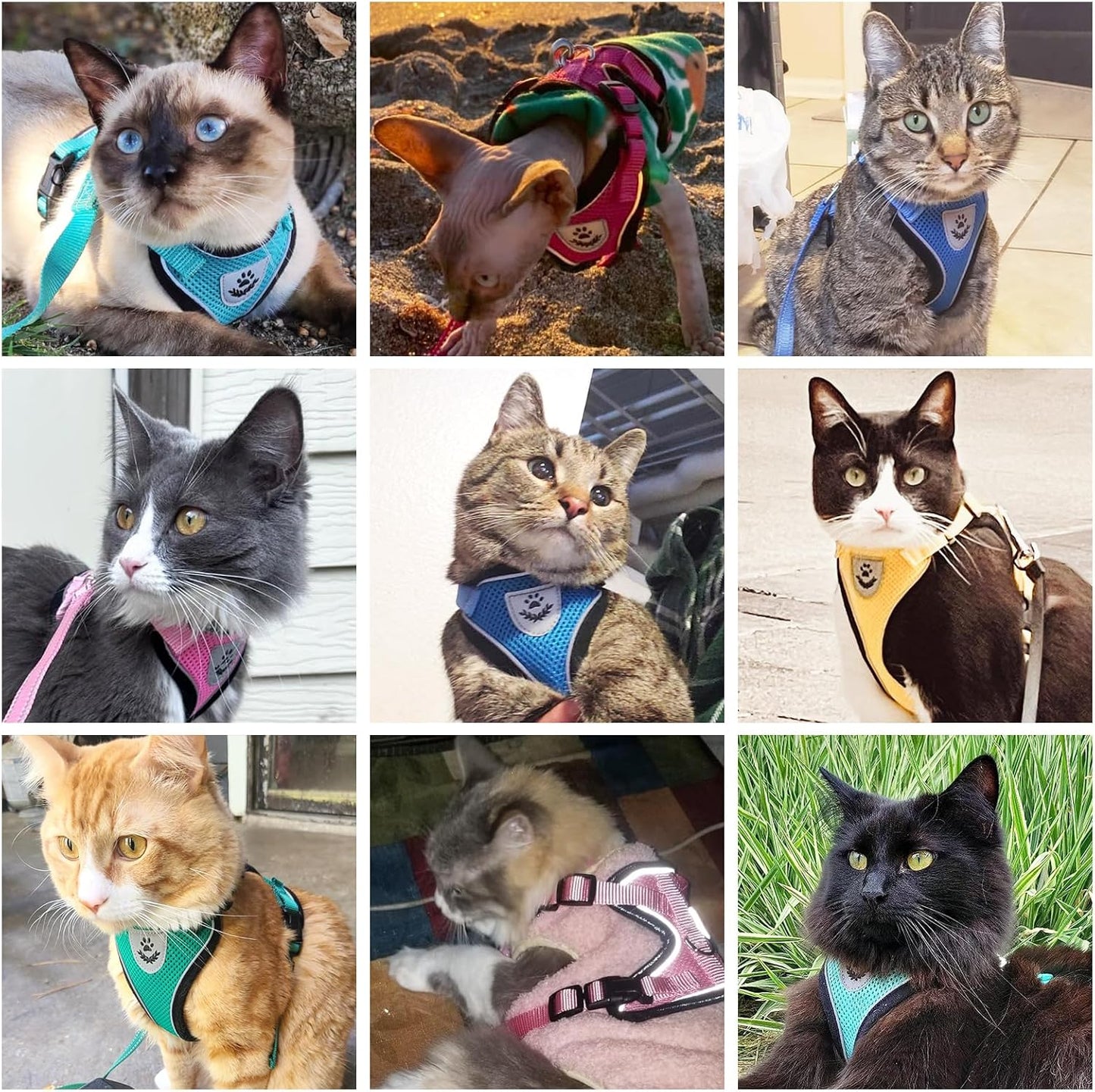 Cat Harness and Leash Set Escape Proof Reflective Cat Walking Harness Adjustable Soft Breathable Mesh Vest for Small Pets, Yellow, S