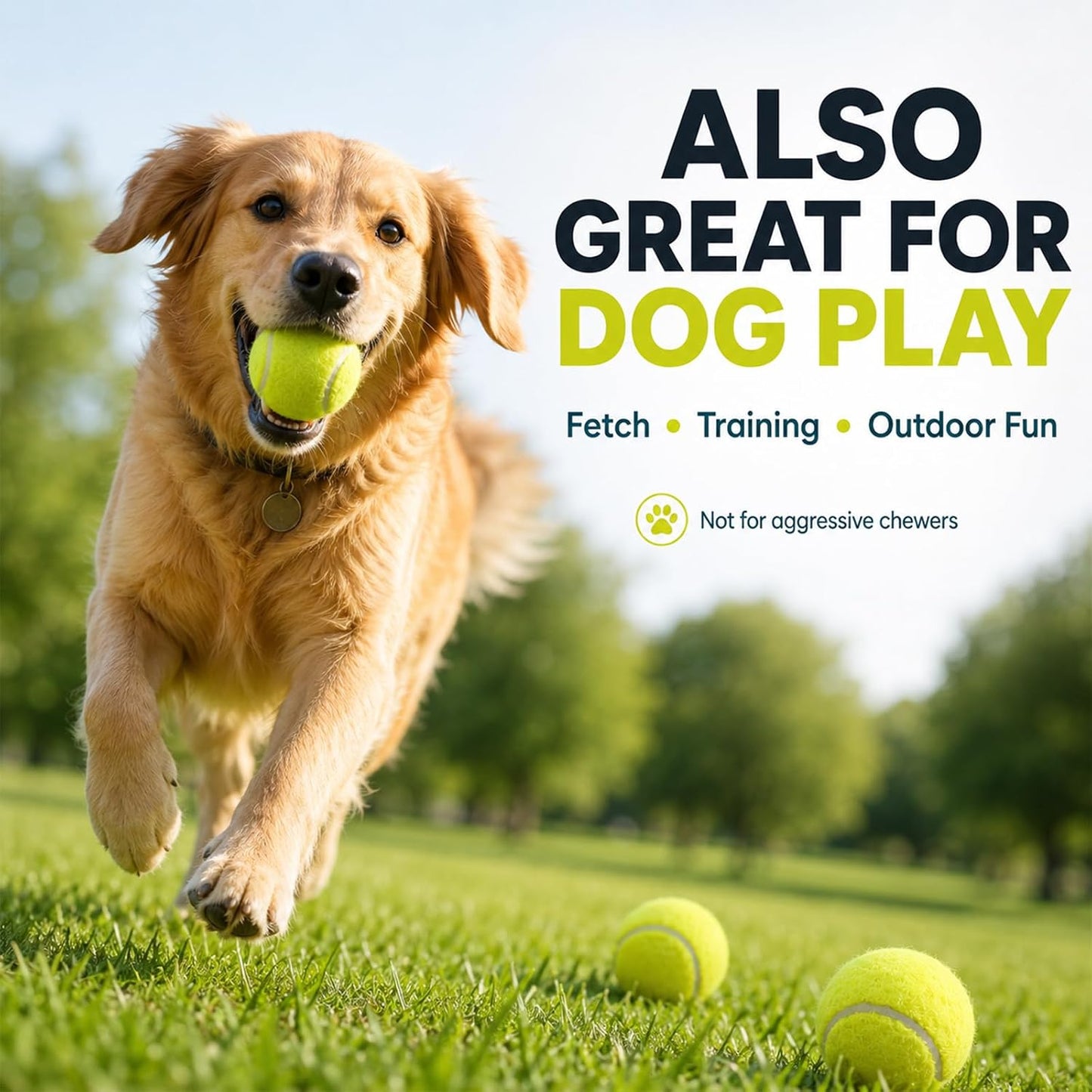 Bulk Tennis Balls, Extra Duty Practice Balls with Mesh Bag