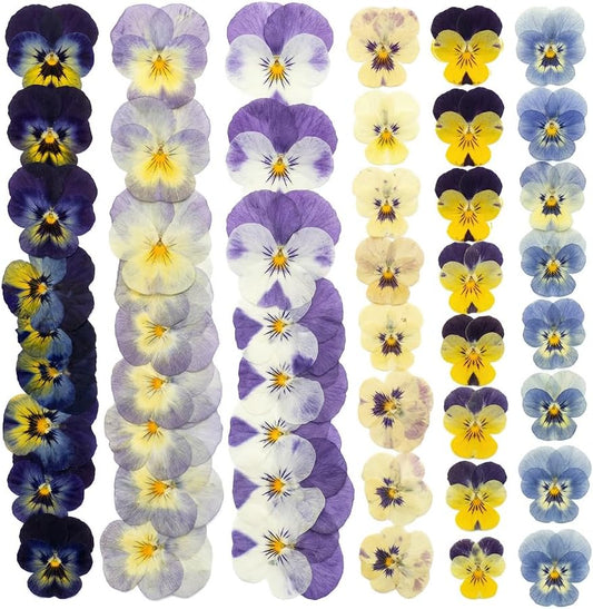 48 Pcs Natural Dried Mix Viola Tricolor Flowers 6 Colors - Edible Pansy for Cake Decorating, Resin Jewelry Making, Crafts, Nail Art, Candle Soap Making & Baking Supplies